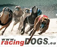 Dog Racing